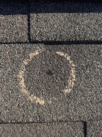 Hail damage shingle chalk test closeup — Reading, PA