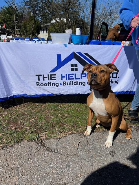 The Helping Co. community event tent