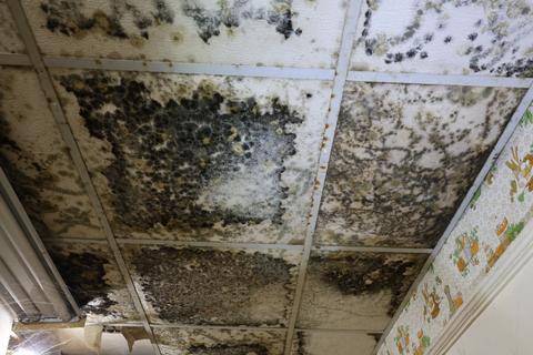 Water and mold damaged ceiling interior — Mohnton, PA