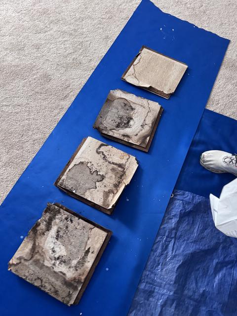 Water damaged materials documentation — Mohnton, PA